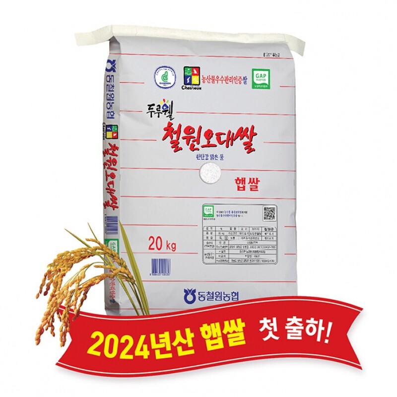 동철원농협 철원오대쌀,(당일도정) 2024년산 동철원농협 철원오대쌀 20kg, 햅쌀