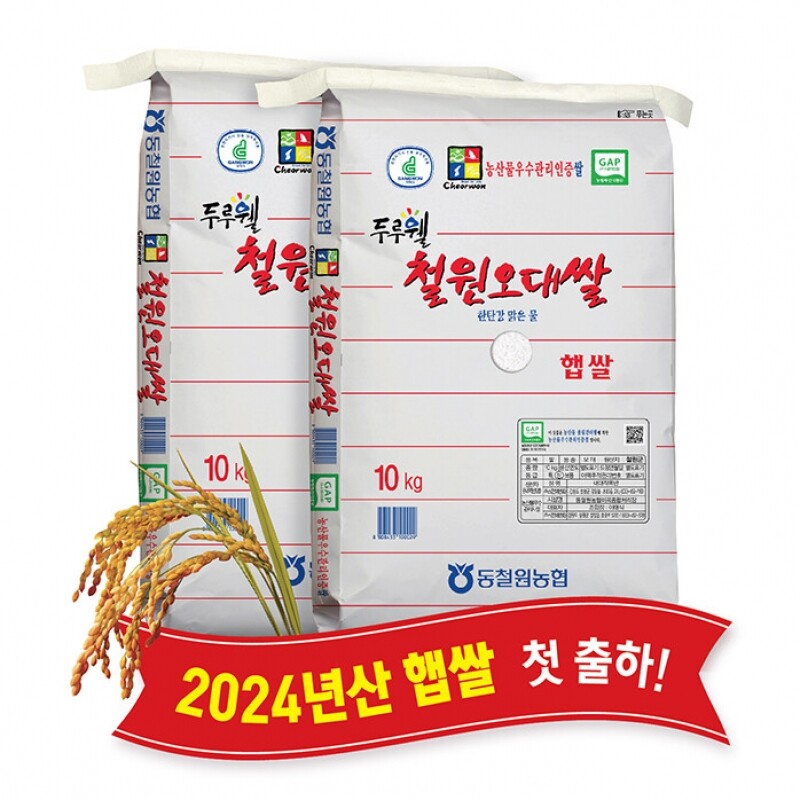 동철원농협 철원오대쌀,(당일도정) 2024년산 동철원농협 철원오대쌀 10kg x 2포, 햅쌀