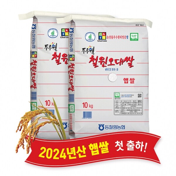 (당일도정) 2024년산 동철원농협 철원오대쌀 10kg x 2포, 햅쌀