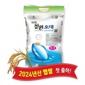 (당일도정) 2024년산 동철원농협 철원오대쌀 4kg, 햅쌀