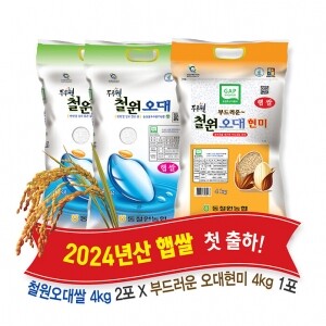 (당일도정) 2024년산 동철원농협 철원오대쌀(4kg+4kg)+현미(4kg) 총 12kg 꾸러미 구성, 햅쌀